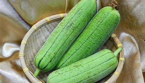 水瓜被吃叶子会死吗视频,水瓜叶子被吃后存活揭秘