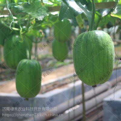 什么叫吃瓜短视频呢,网络时代的娱乐新风尚