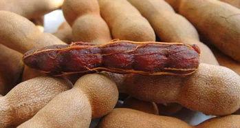 老人可以吃酸角瓜吗视频,适合老年人的健康美味选择