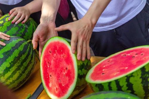 云南婚礼吃瓜视频大全集,一场视觉与味蕾的双重狂欢