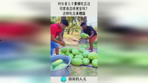 印度吃瓜的真实视频,趣味横生的市井百态