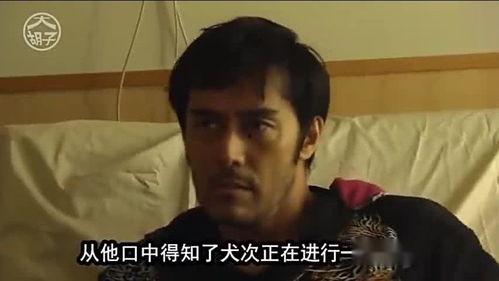 大叔吃瓜视频大全,揭秘娱乐圈幕后故事