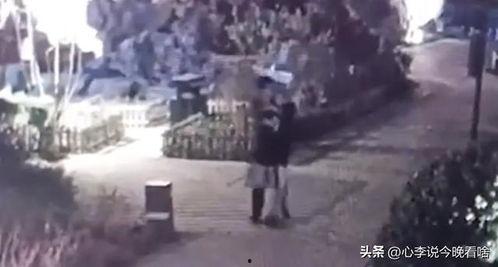 大海吃瓜视频完整版,揭秘视频背后的精彩故事与幕后花絮