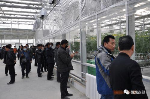 兰州新区吃瓜事件视频播放,视频曝光引发网友热议