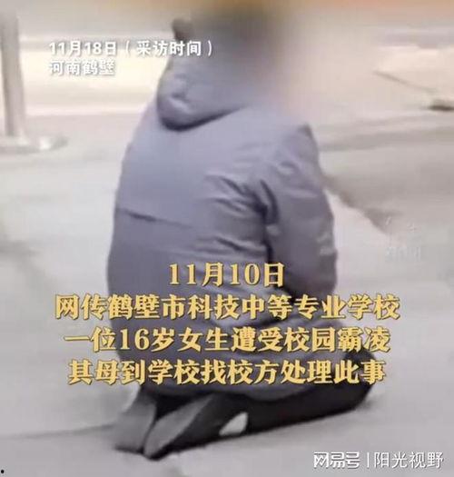 鹤壁女生遭霸凌吃瓜视频,网络暴力下的校园悲剧