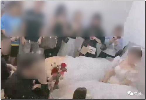 老婆和狗吃瓜视频,欢乐一家亲