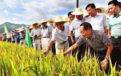 袁隆平的徒弟吃瓜视频,揭秘农业专家的日常生活