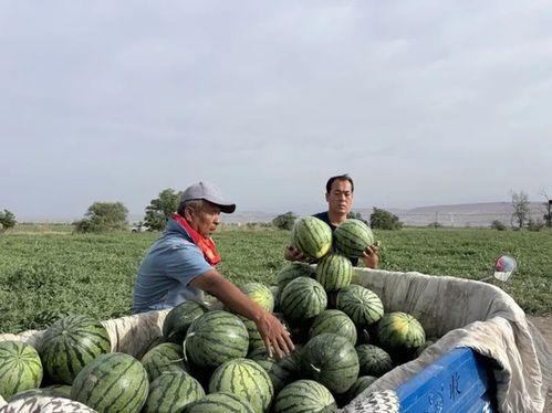 济南长清区吃瓜事件视频,一场网络热议的真相追踪