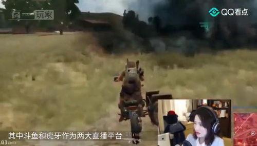 神仙打架吃瓜视频播放,神仙打架现场！吃瓜群众围观视频播放盛宴